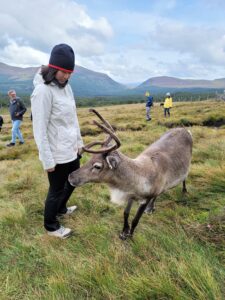One of the Best Ways to Experience Scotland : Visit the Wild Reindeer Herd