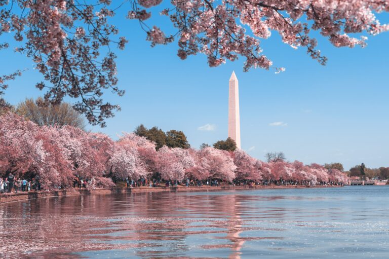 The Best Way to See DC is from the Water